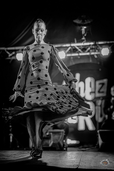 flamenco (77)